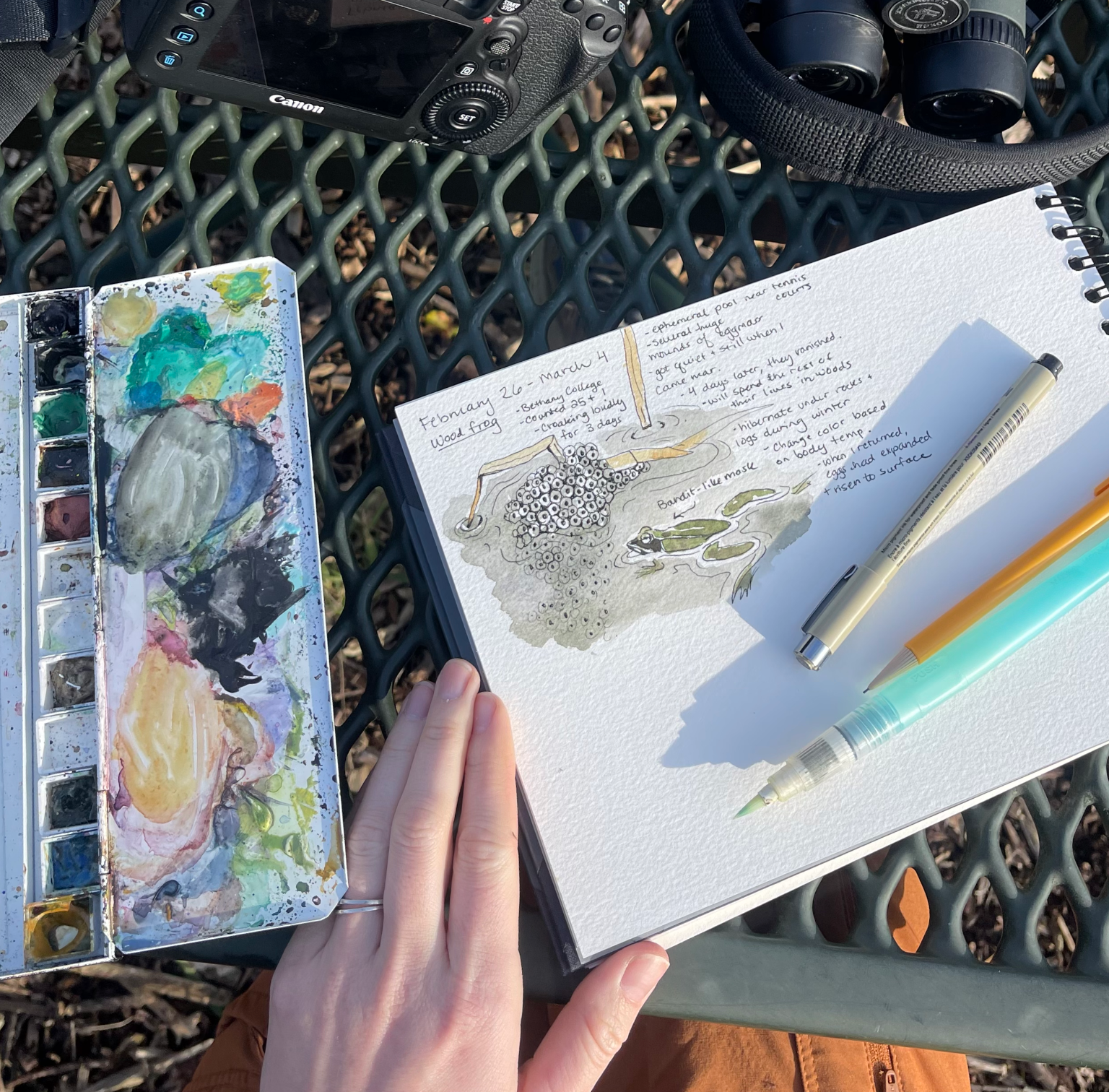 Sketchbook Wandering : Watercolor  Watercolor art journal, Sketch book, Watercolor  sketchbook