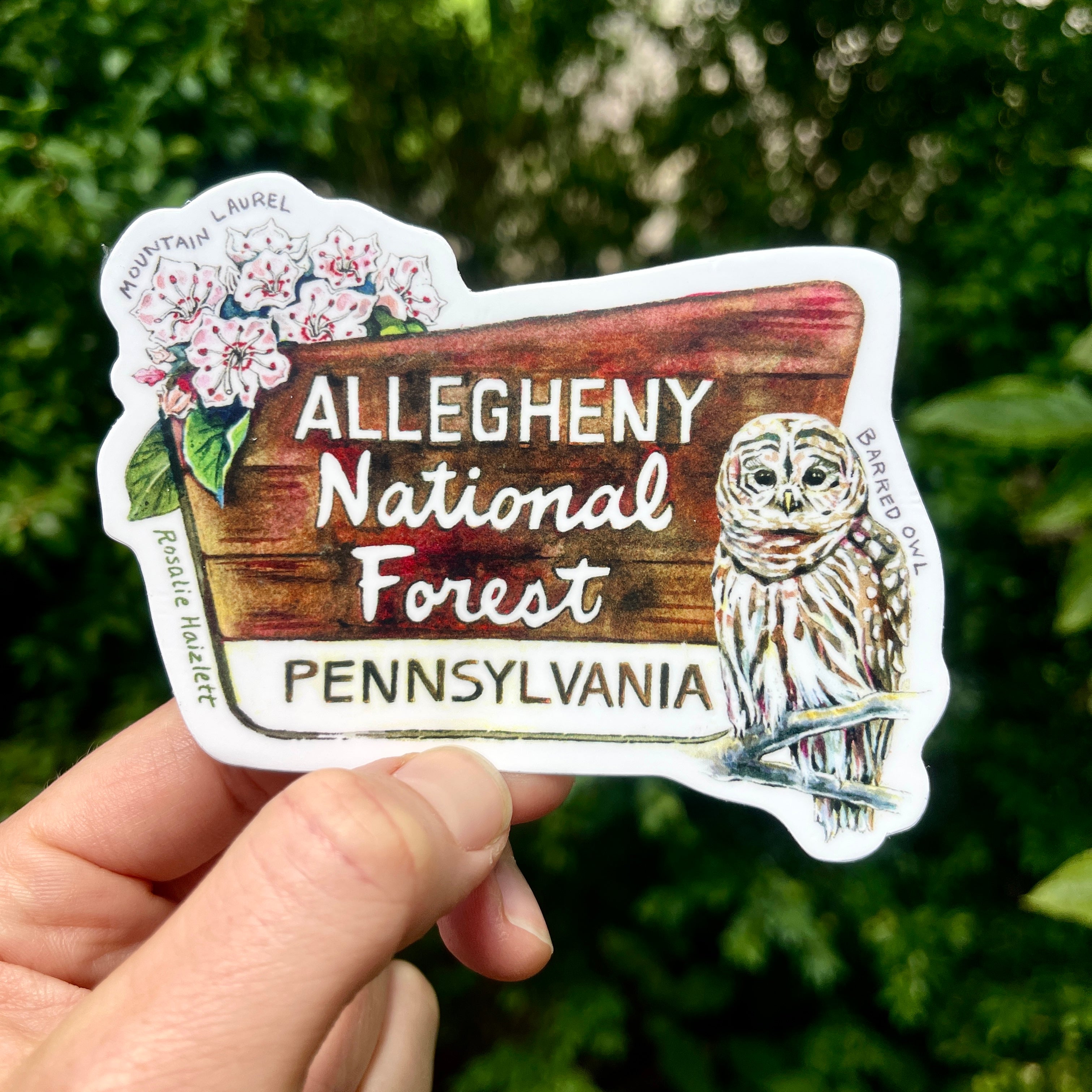 Allegheny National Forest Waterproof Sticker – Rosalie Haizlett ...